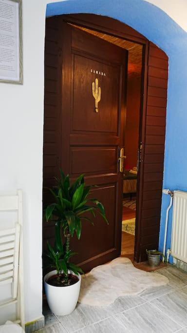 Sahara Studio With Shared Bathroom In City Centre Братислава Экстерьер фото
